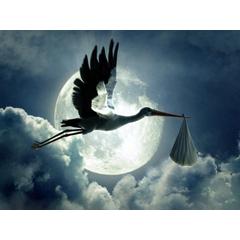 Brit Tudosok Tenyleg Nem A Golya Hozza Hircsarda